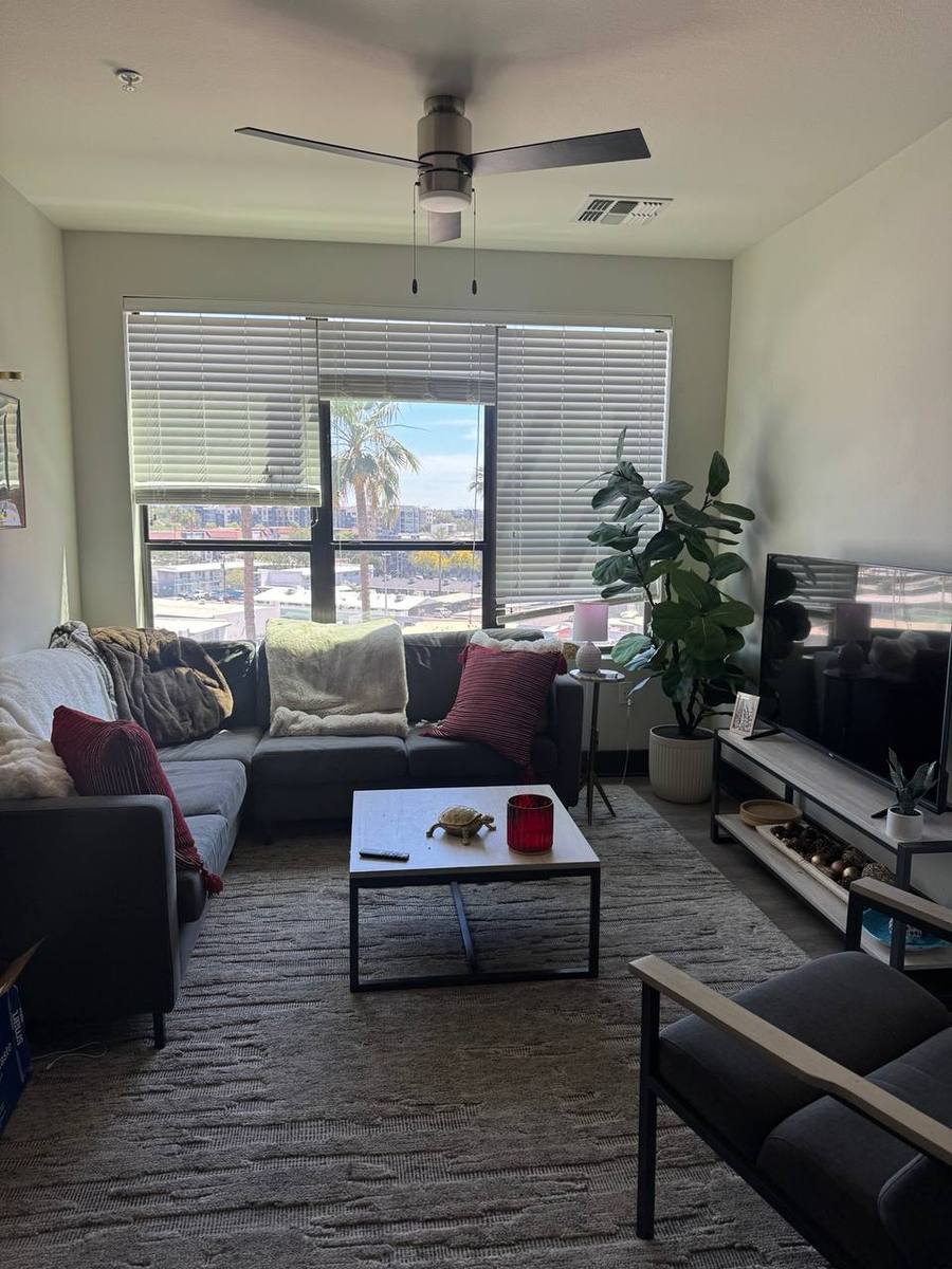 Open living and dining area